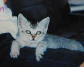 f0002743_2117346.jpg