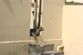 e0080452_8163133.jpg
