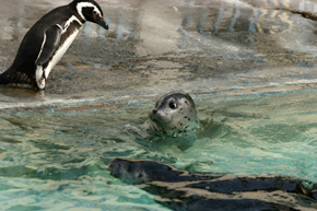e0080452_8174389.jpg