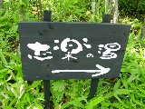 c0022767_6134991.jpg