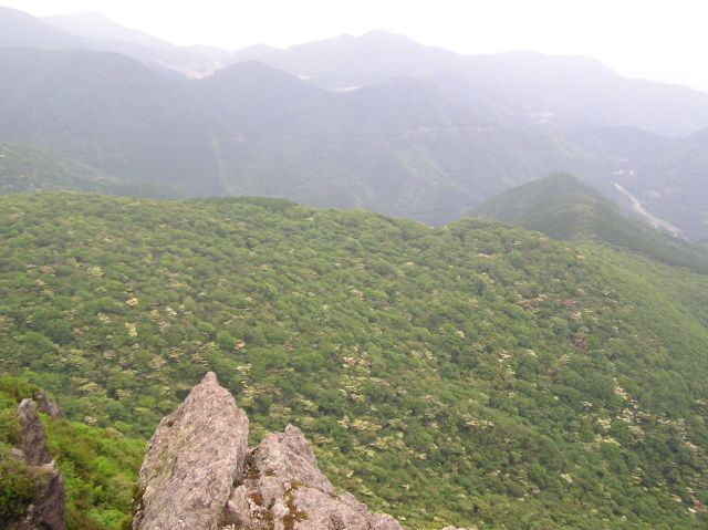 c0042869_2040555.jpg