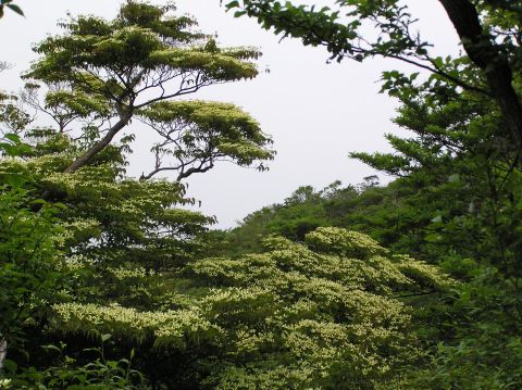 c0042869_20411517.jpg