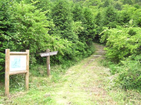 c0042869_2042294.jpg