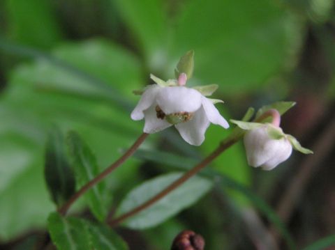 c0042869_2042879.jpg