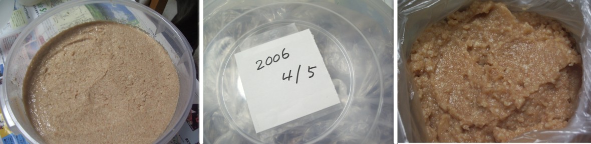 e0023471_1153043.jpg