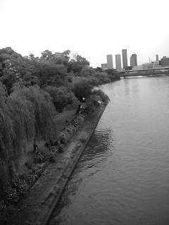 f0100480_9203911.jpg