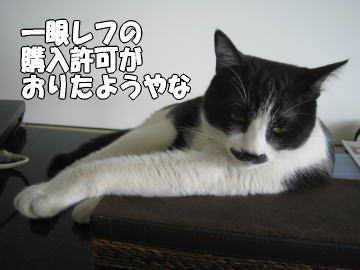 b0041182_14374693.jpg