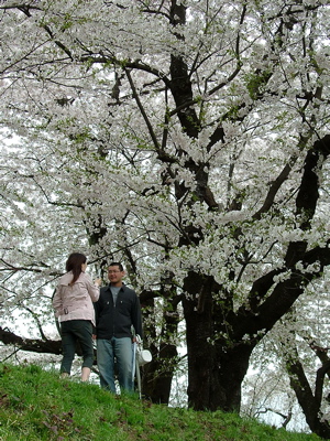 a0033493_20595434.jpg