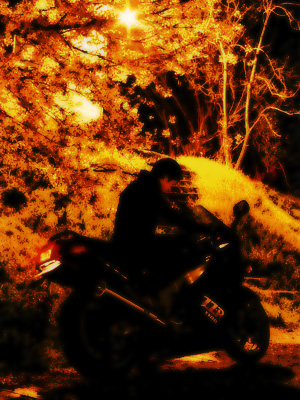 c0060593_0462655.jpg