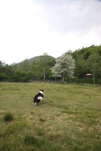 f0034602_2133999.jpg