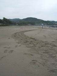 f0048405_10222915.jpg