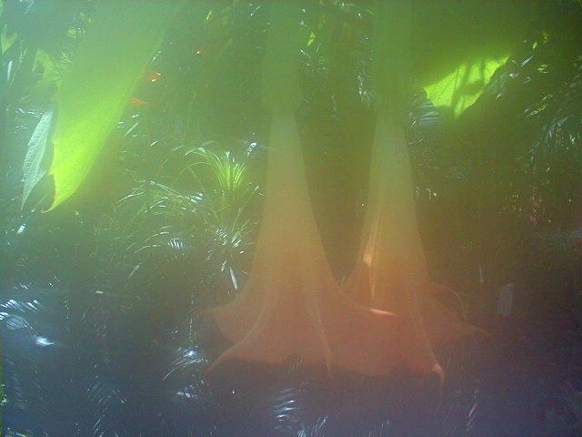 d0071507_91335.jpg