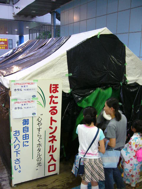 e0015108_329404.jpg