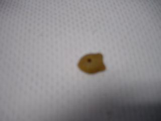 c0024410_2384744.jpg
