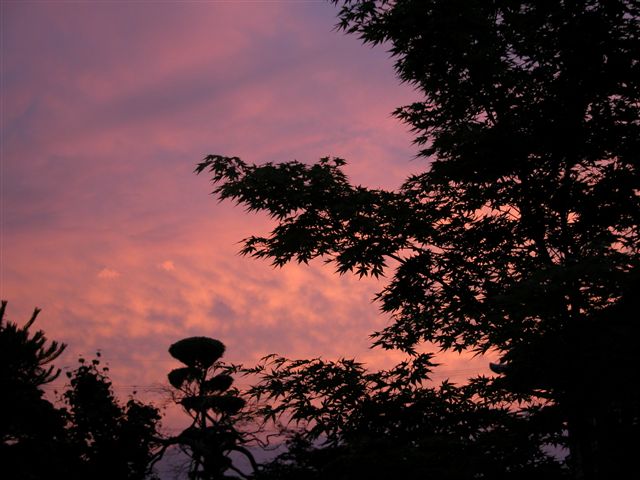 d0043211_2362361.jpg