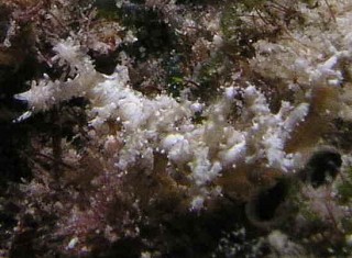 f0046614_16415332.jpg
