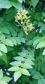 e0083820_23402697.jpg