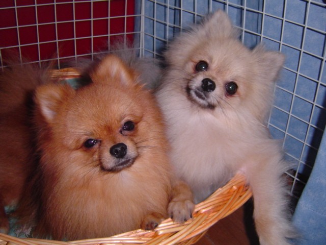f0012924_5241233.jpg