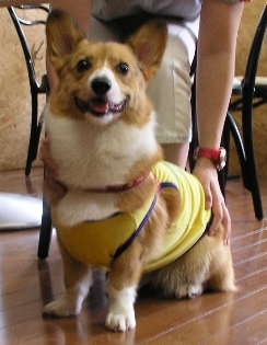 e0071225_1841125.jpg