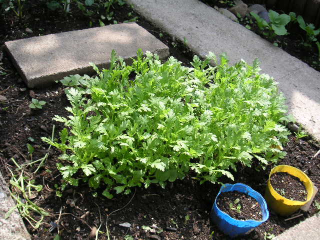a0020929_9201427.jpg