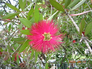 a0030639_18255090.jpg