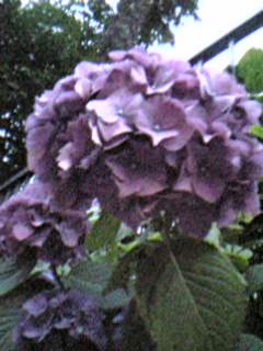 e0087443_23504099.jpg