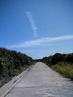 b0046349_11346.jpg