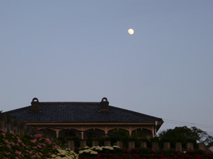 f0067354_939965.jpg