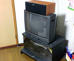 d0058958_2247557.jpg