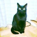 b0061261_18125877.jpg