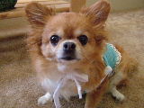 f0052071_8541341.jpg
