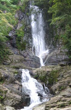 d0069575_13253396.jpg