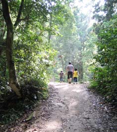 d0069575_13392565.jpg