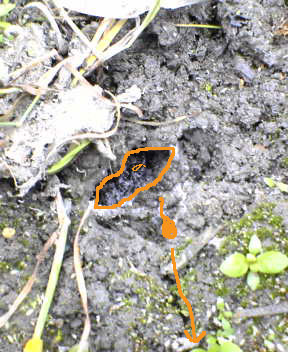 c0014786_10232598.jpg