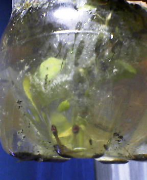 c0014786_10422160.jpg
