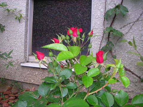 b0091187_22344872.jpg