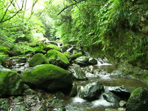 f0087787_9565594.jpg