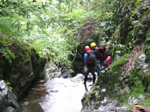 f0087787_9571876.jpg