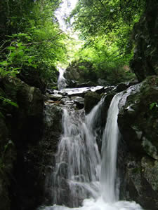 f0087787_9572821.jpg