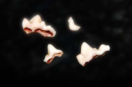 f0094391_15221997.jpg