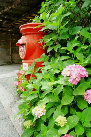 c0025895_7383579.jpg