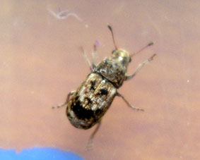e0083097_1218996.jpg