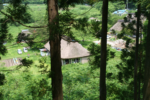 e0054299_23184440.jpg