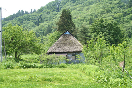 e0054299_2319726.jpg