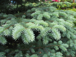 f0041606_20412139.jpg