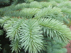 f0041606_2041367.jpg
