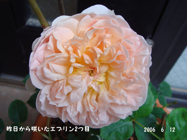 f0057006_15584547.jpg