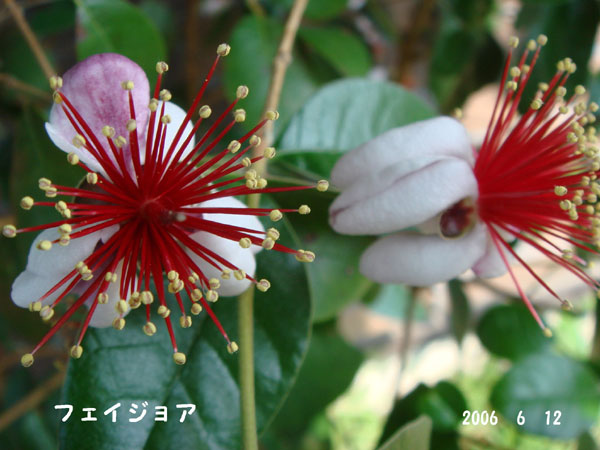 f0057006_15594188.jpg