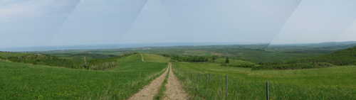 d0051707_22122433.jpg