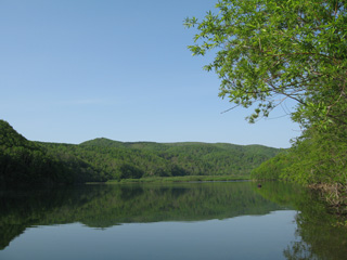 d0051707_22243197.jpg